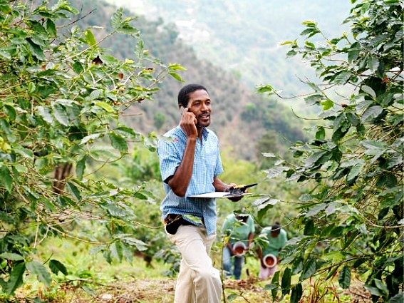 Asistencia técnica en finca