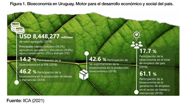 Bioeconomía en Uruguay