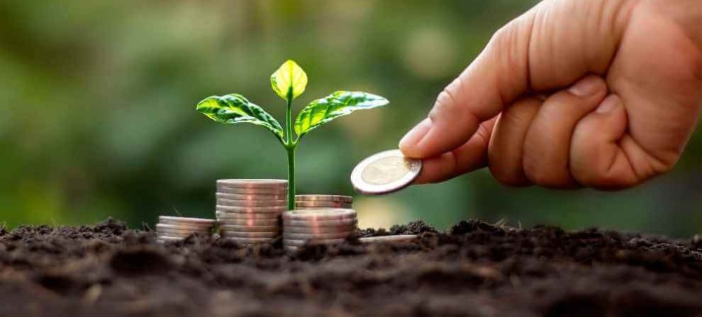 Credit for agri-food systems