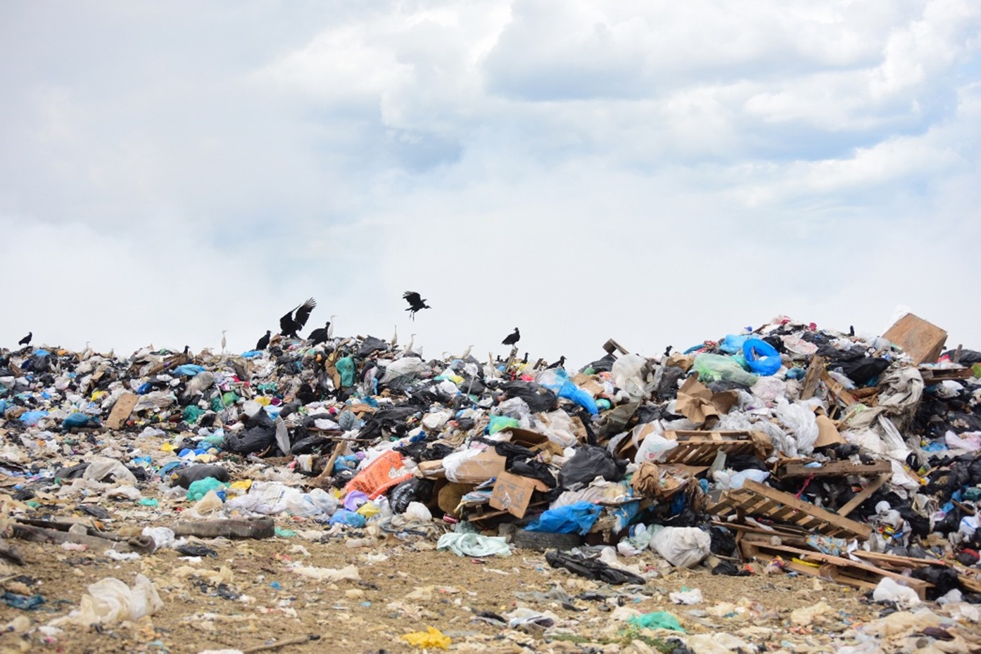 Forres Park Landfill, Trinidad and Tobago