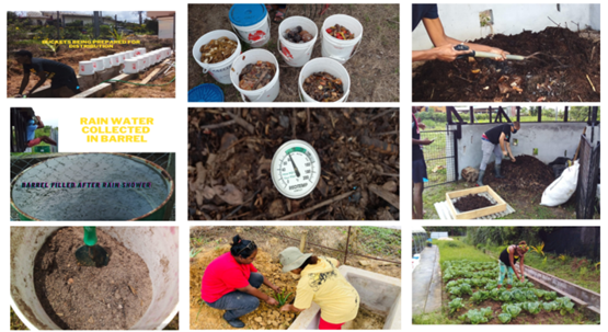 Volunteers and members of the Cashew Garden Community Compost initiative