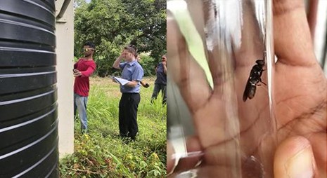 FAO’s insect bioreactor pilot plant facility in Trinidad and Tobago