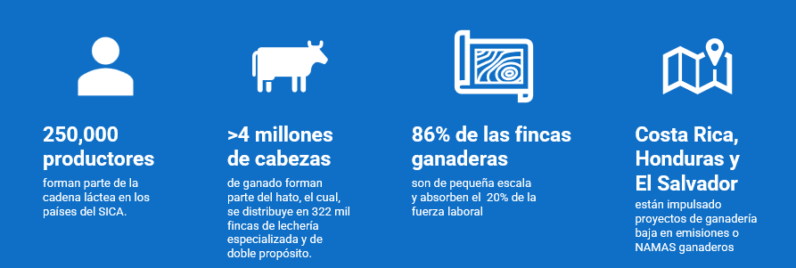 datos sobre ganadería láctea