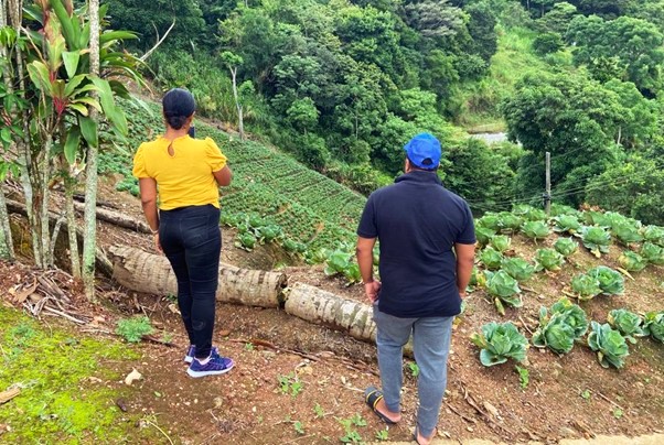 A hillside farm somewhere in Trinidad