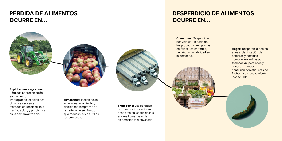 Diagrama sobre perdidas y desperdicios de alimentos en la cadena de suministro