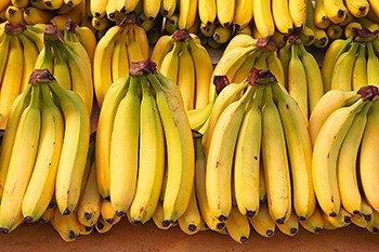 Ilustración bananas