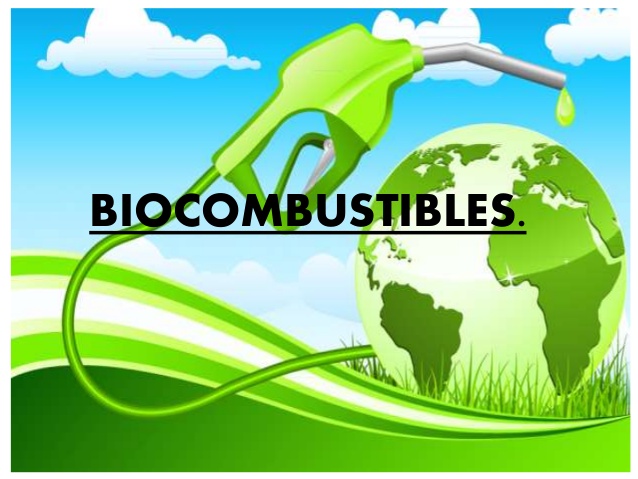 bioecombustibles