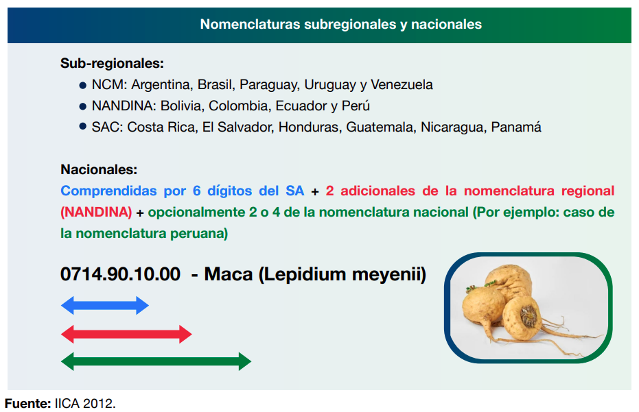 Nomenclaturas regionales