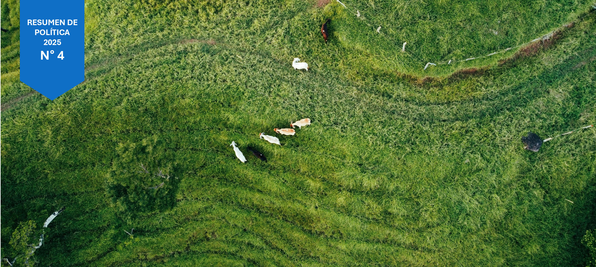 Cadena láctea sostenible en países del SICA