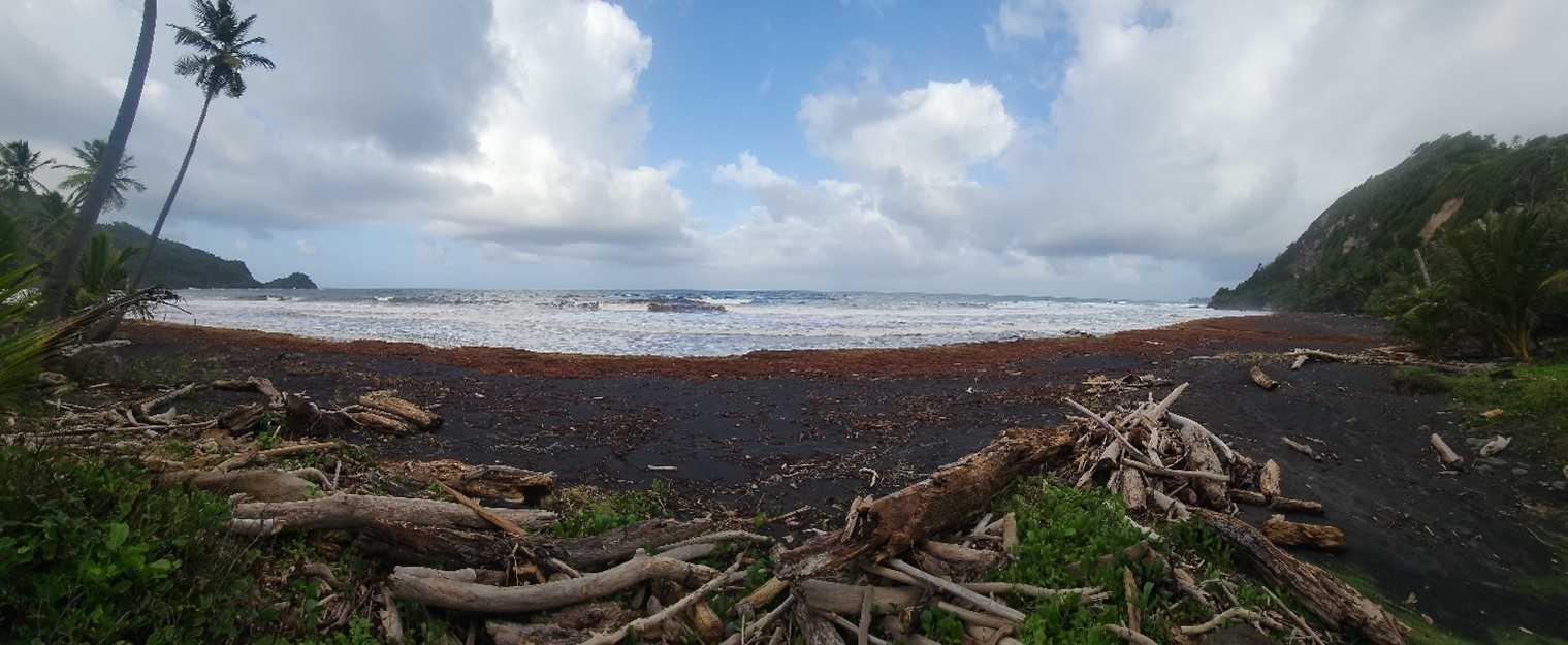 Panoramic view of east coast of Dominica 