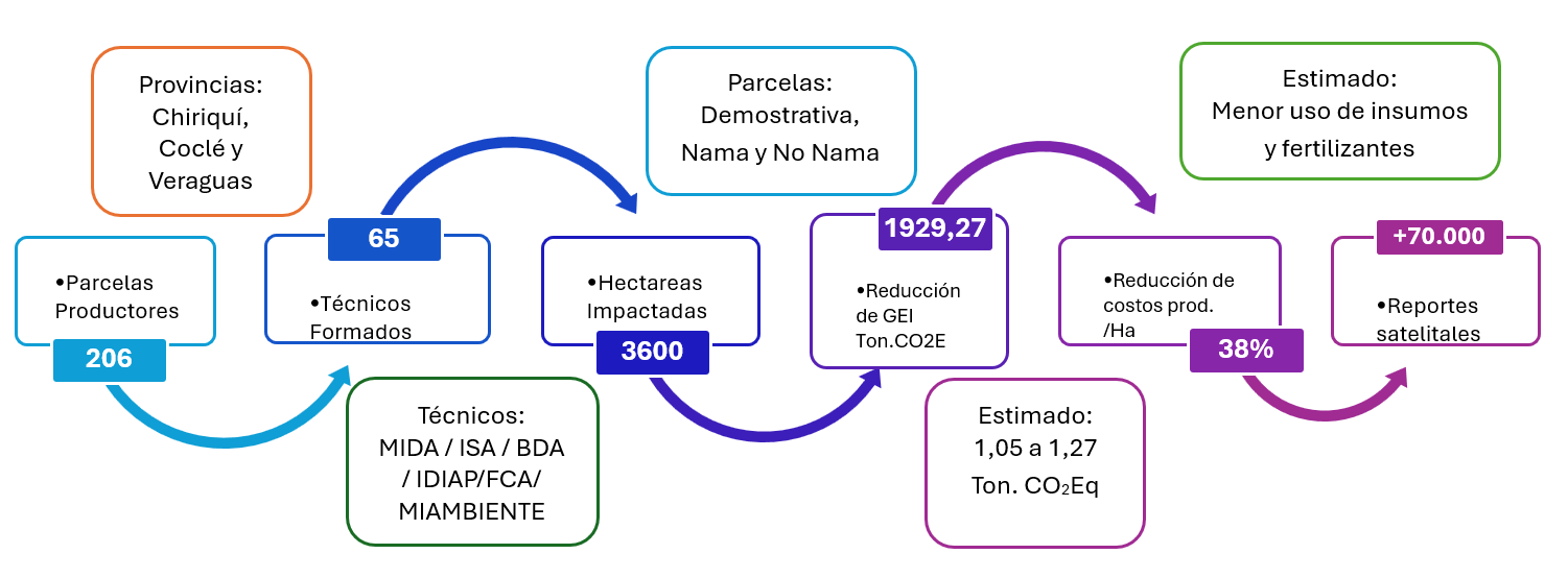 Diagrama con los principales resultados del proyecto Nama Arroz en Panamá