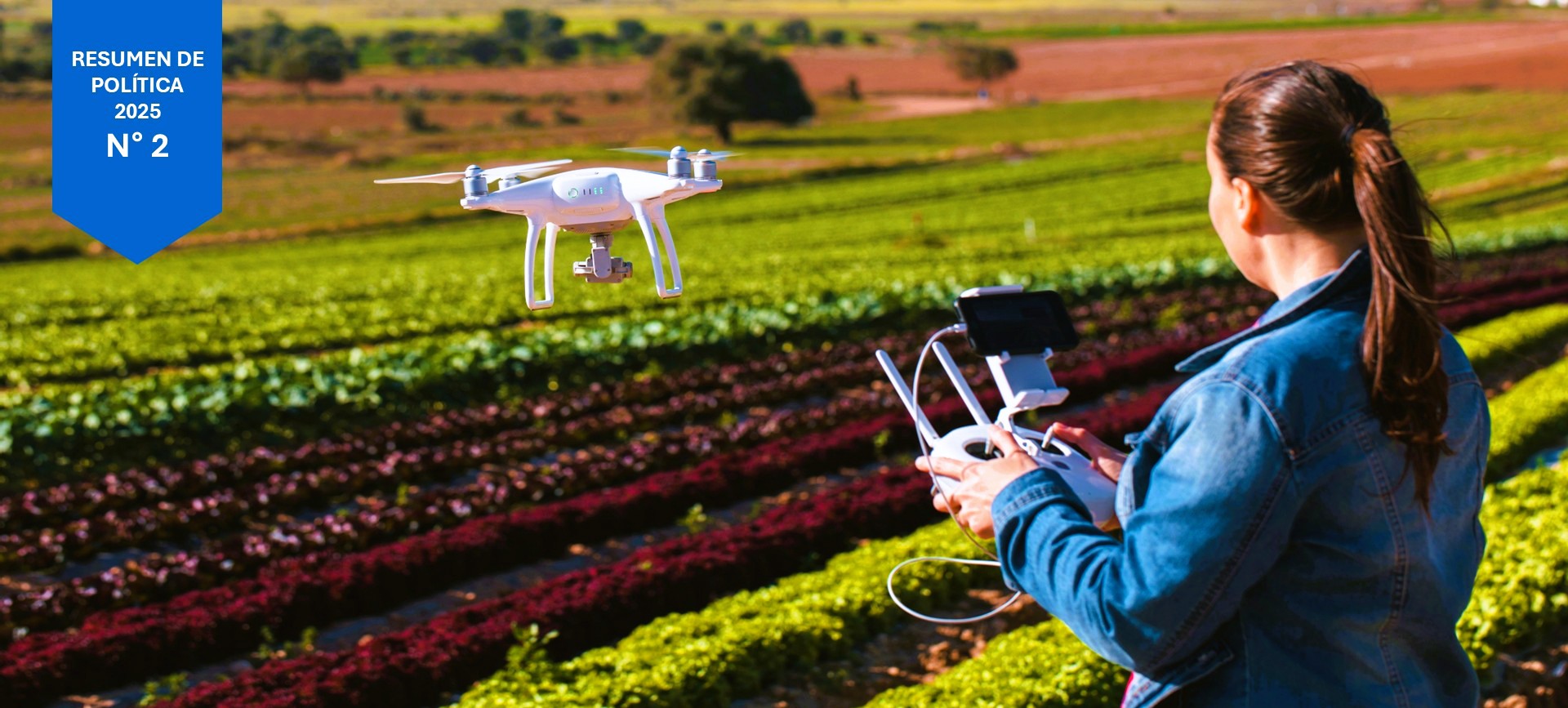 Policy brief 2 AgTech