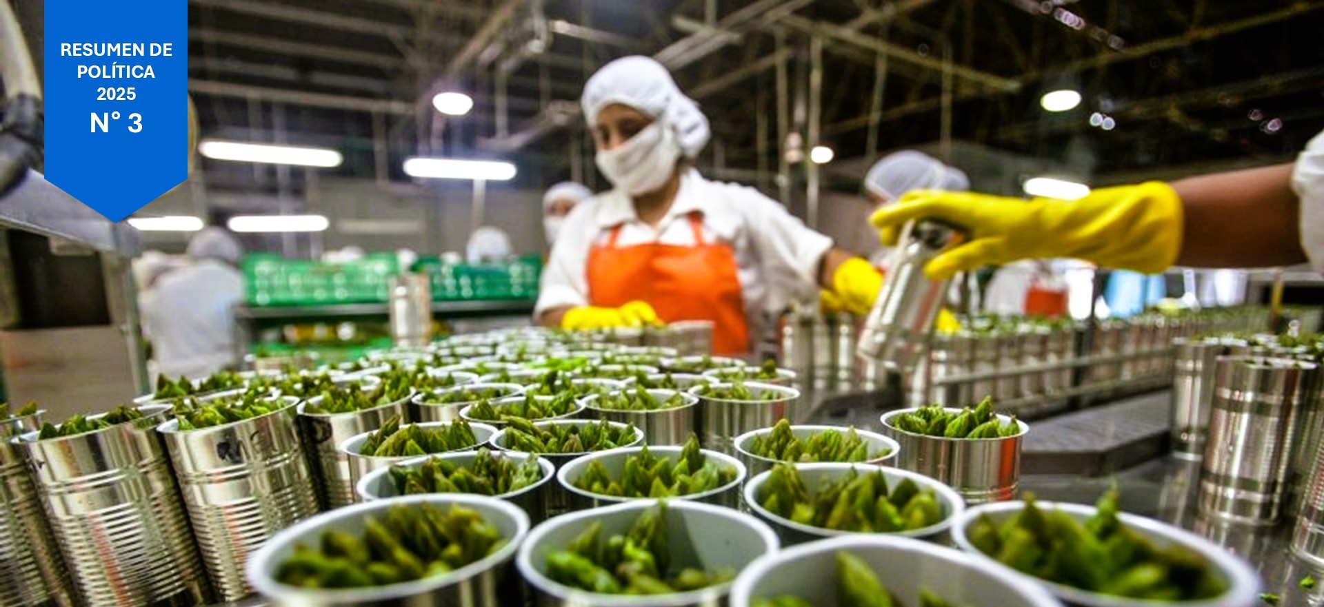 Planta de procesamiento y empaque de vegetales