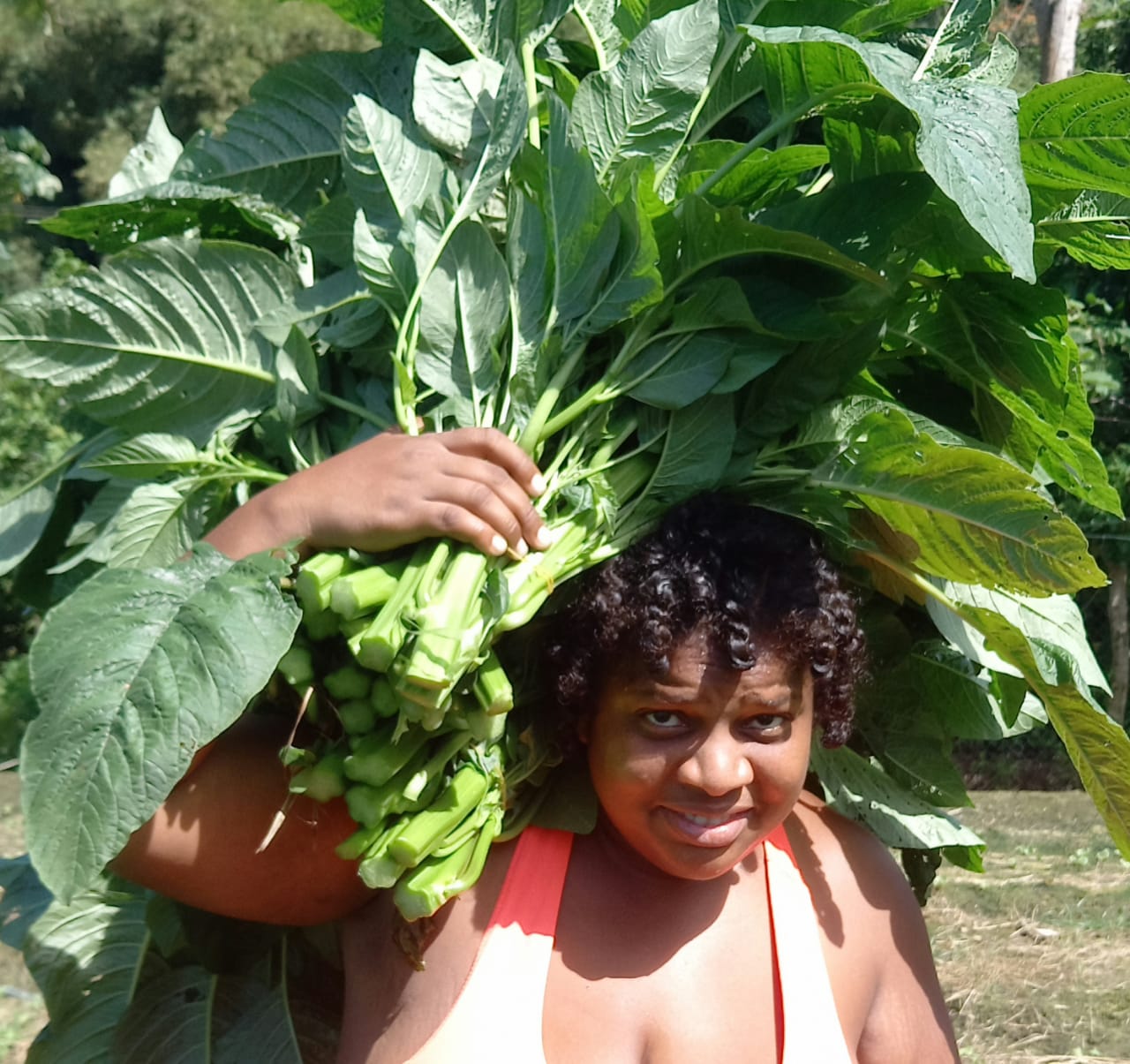 Shennelle Herbert harvesting bhaji (spinach) on her farm in Bloody Bay, Tobago (Photo provided by Ms. Herbert)
