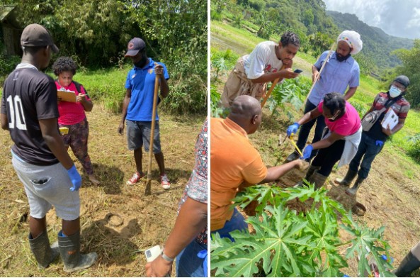 Tobago trainees - Ms. Herbert and other farmers’ technicians and interested community members, collecting soil data at Bloody Bay (l) facilitated by IICA’s Dr. St. Martin (r)  (Photo: EbA project)