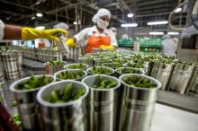 Industria agroalimentaria para exportación