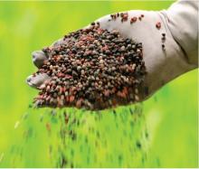 fertilizer